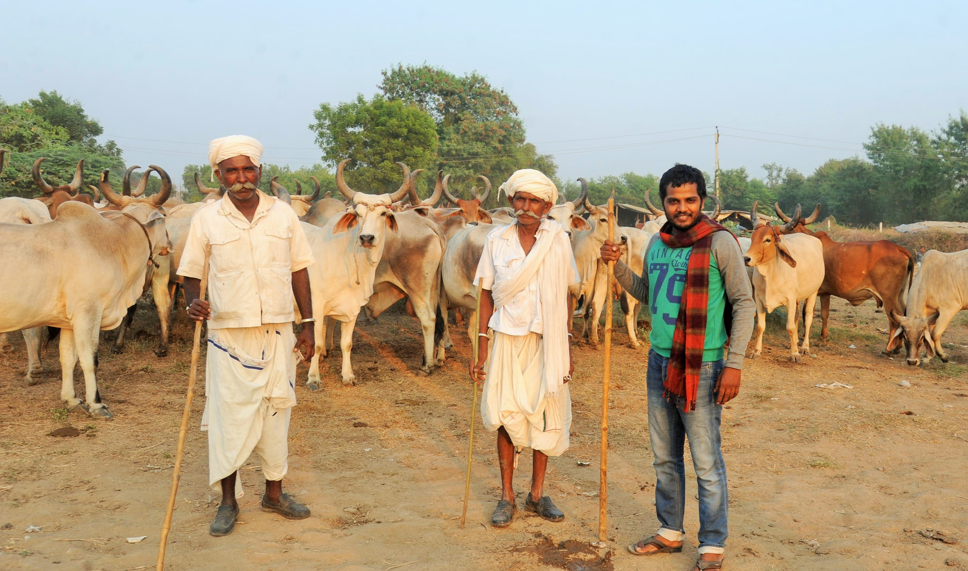 Founder Ketan Parmar with Kankrej herders and their cattle herd