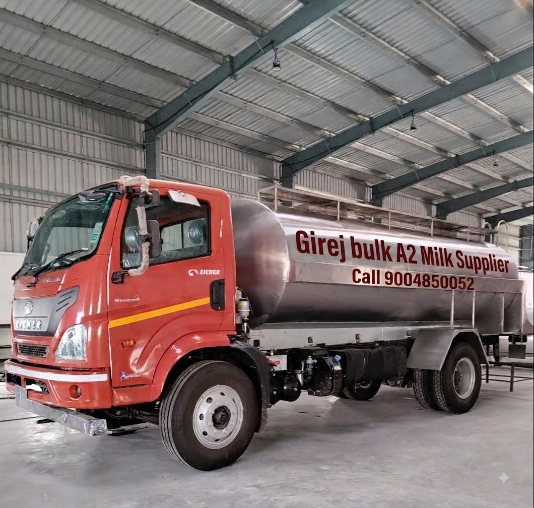 Girej bulk A2 milk supplier insulated road milk tanker truck parked inside the dispatch shed before bulk delivery